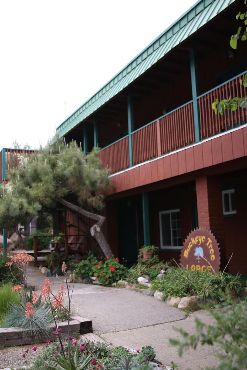 Buckeye Tree Lodge Three Rivers Ngoại thất bức ảnh